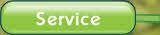 Service        .