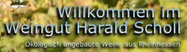 Ökologisch angebaute Weine aus Rheinhessen
