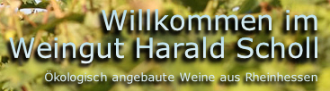 Ökologisch angebaute Weine aus Rheinhessen